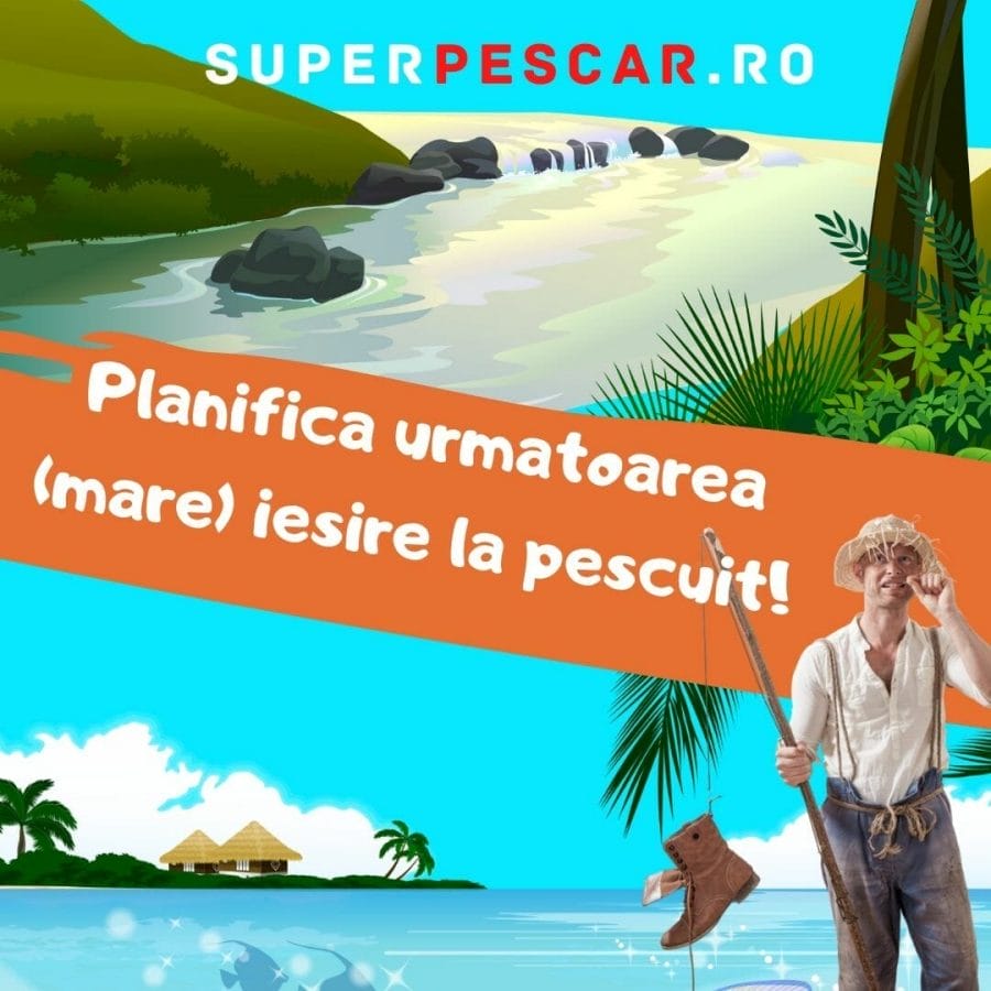 7 propuneri constructive de petrecut carantina (pentru pescari) 6