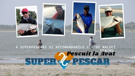 Pescuit la avat:  4 Super Pescari si recomandarile lor de năluci pentru avat!