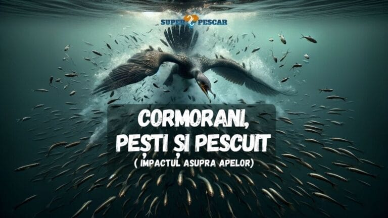 Cormorani, peÈ™ti È™i pescuit