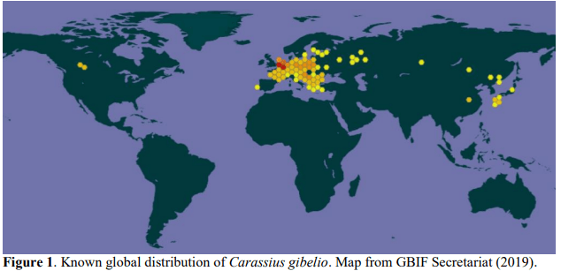 harta distributie caras pe glob